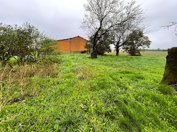 terrain à Merles (82)