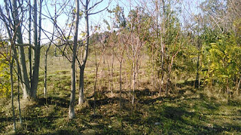 terrain à Morières-lès-Avignon (84)