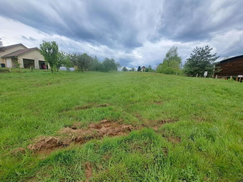 Vente terrain  1800 m² à Epinal (88000), 160 000 €