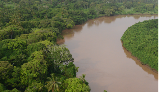 Vue aérienne du delta du Tana, Kenya