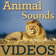 Animal Sounds With VIDEOs  Icon