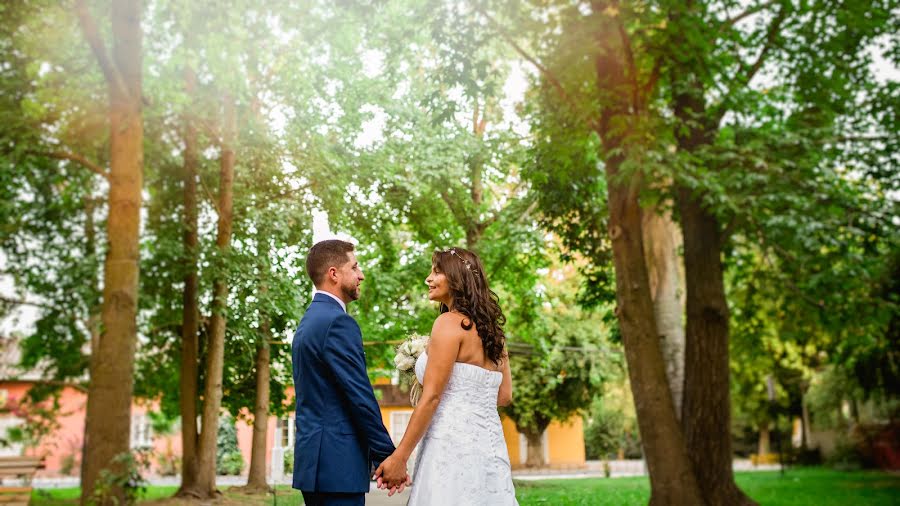 Hochzeitsfotograf Rodrigo Osorio (rodrigoosorio). Foto vom 29. August 2019