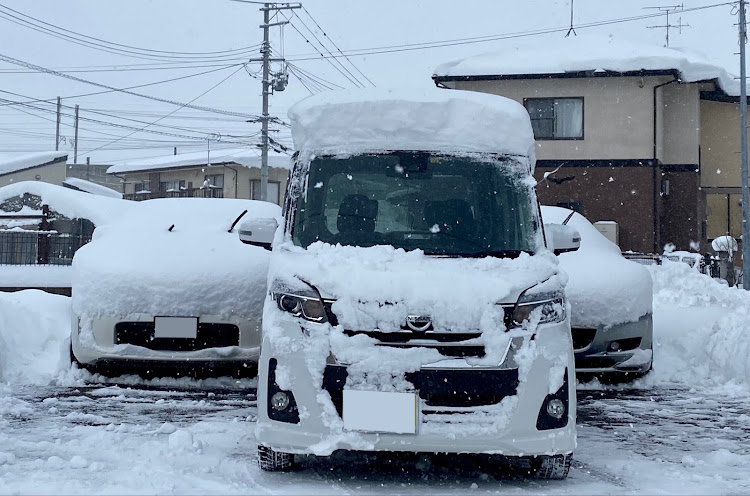 の投稿画像6枚目