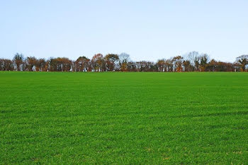 terrain à Noves (13)