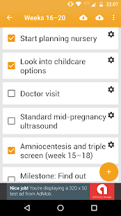 Pregnancy Checklist - náhled