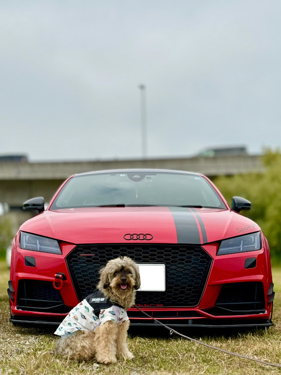 TT クーペの海王丸パーク・柊×豚豚炉海王丸チャリティーMT・豚豚炉とお休み処柊コラボ・T-FACTORY・北陸の愉快な仲間たちに関するカスタム事例の投稿画像1枚目