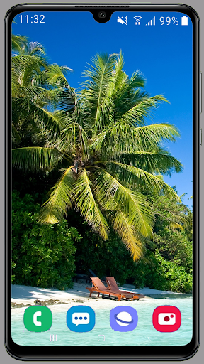 Palm Tree Wallpaper Best HD