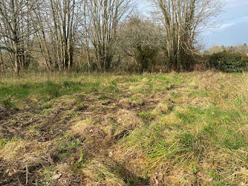 terrain à La Chapelle-des-Marais (44)