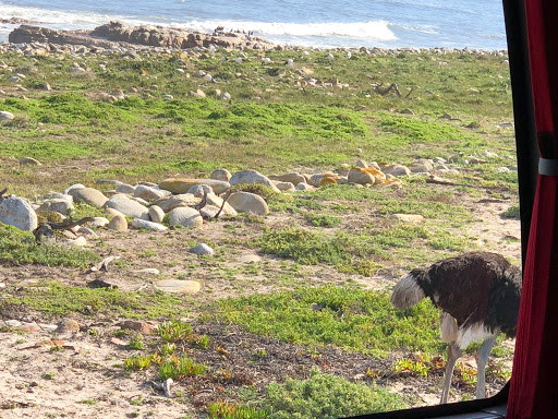 Cape Point South Africa 2018