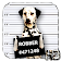 Cool Dog APUS Live Wallpaper icon