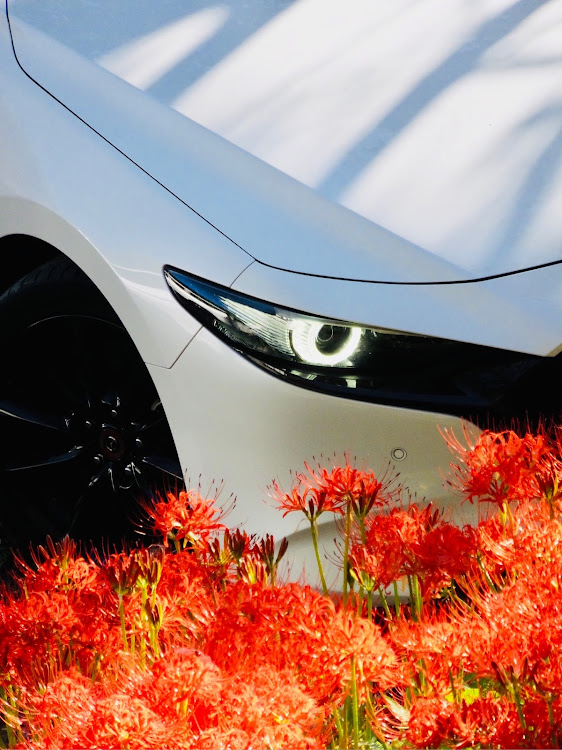 MAZDA3の10月もよろしくお願いします・彼岸花とコラボ・中秋の名月・羽黒山公園・まったり休日に関するカスタム事例の投稿画像2枚目