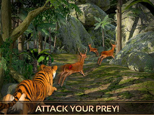免費下載動作APP|Wild Tiger Adventure 3d Sim app開箱文|APP開箱王