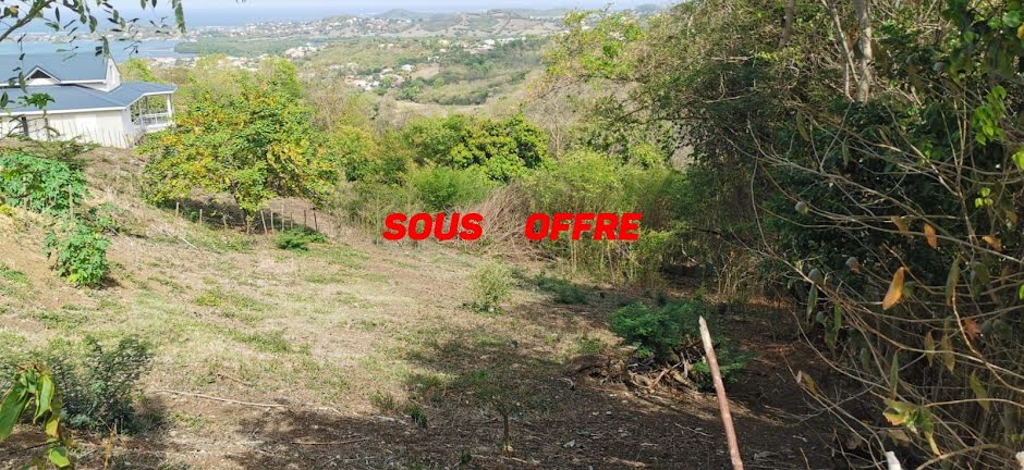 Vente terrain à batir  700 m² à Le francois (97240), 129 600 €