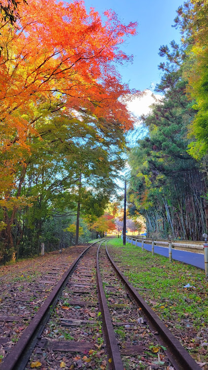 C-HRの12月もよろしくお願いします・三河山線・廃線廃駅・紅葉と愛車・画像変換イラストに関するカスタム事例の投稿画像11枚目