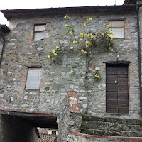 La casa con le rose gialle di 