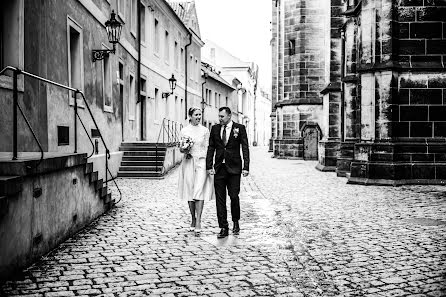 Bryllupsfotograf Tatyana Malysheva (tabby). Foto fra januar 31 2019