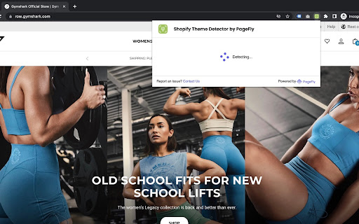 Shopify Theme Detector by PageFly Extension