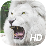 Cover Image of Скачать White Lion Wallpaper HD 1.0 APK