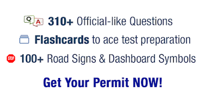 Delaware DMV Permit Test - DE Screenshot