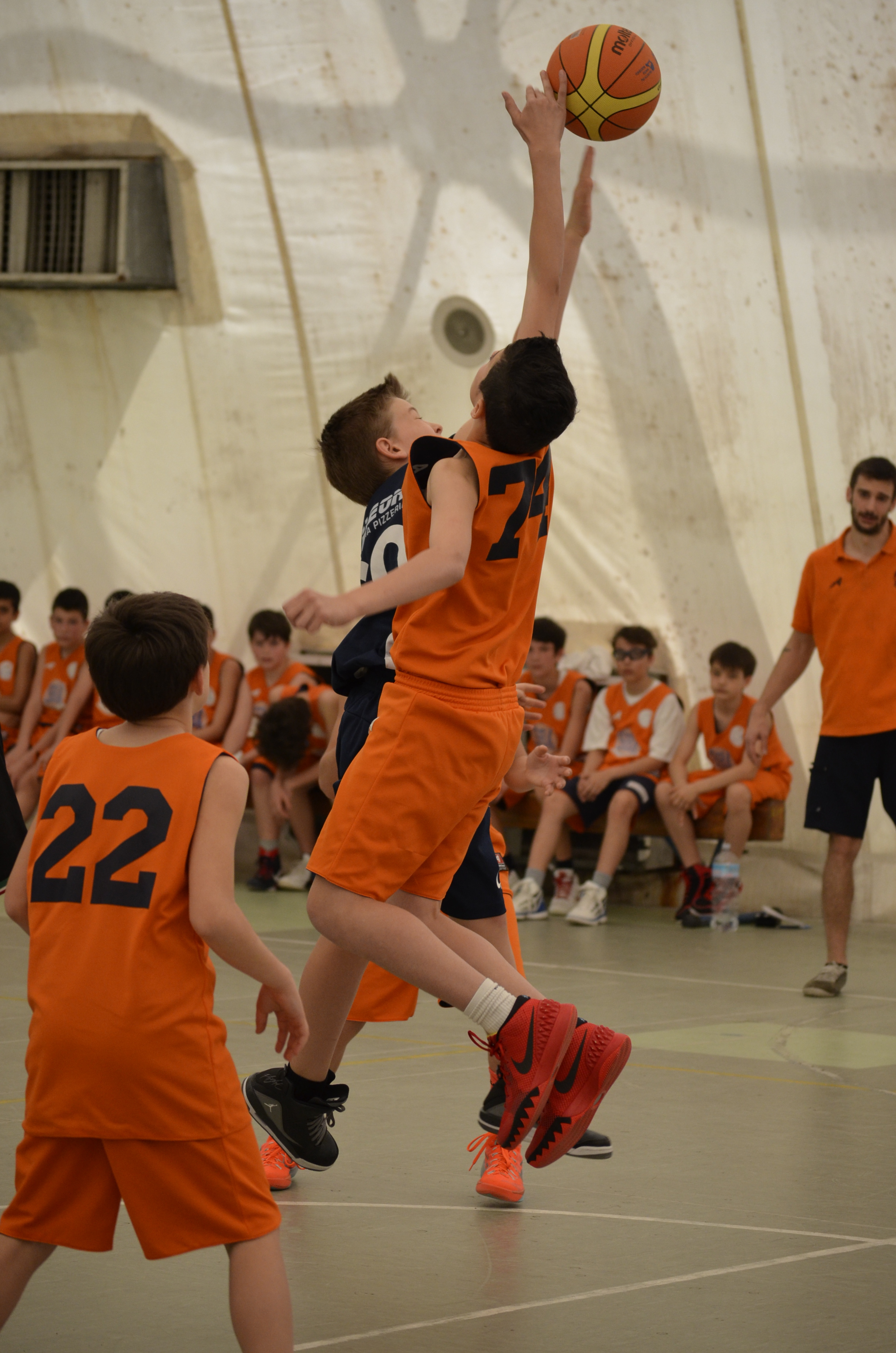 Basket che passione di Curlyblus