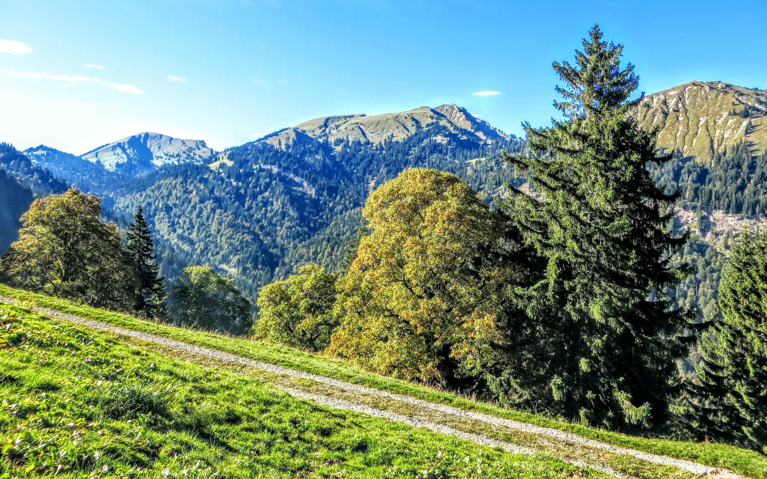 Foto: Hochgrat, Rindalphorn, Buralpkopf vom Rastplatz nahe der Hirschgund-Alpe mit Almstraße