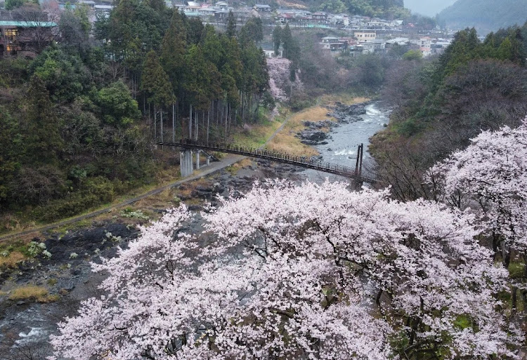 の投稿画像6枚目