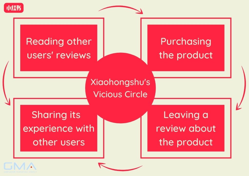 Xiaohongshu's vicious circle