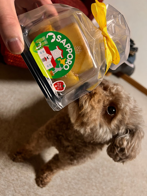bBのONE1CUP・北海道・千歳モーターランド・愛車に感謝の気持ちを🙏☺️🚘・ナッツ🐶と自分👦🏻 誕生日の月🎂に関するカスタム事例の投稿画像17枚目