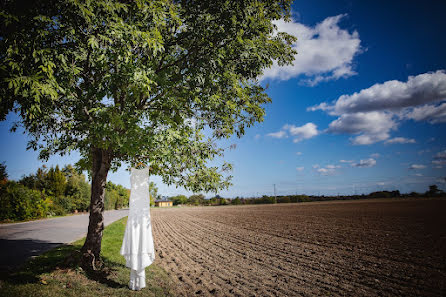 Photographe de mariage Alena Sreflova (sreflova). Photo du 24 février 2020