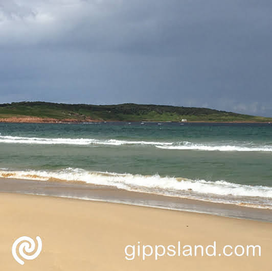 Home to a historic lighthouse and the world's largest colony of Little Penguins, is a small island 500 meters off the southeastern Australian coast (13 km from Mallacoota, Victoria), managed by Parks Victoria and accessible only by boat or small plane