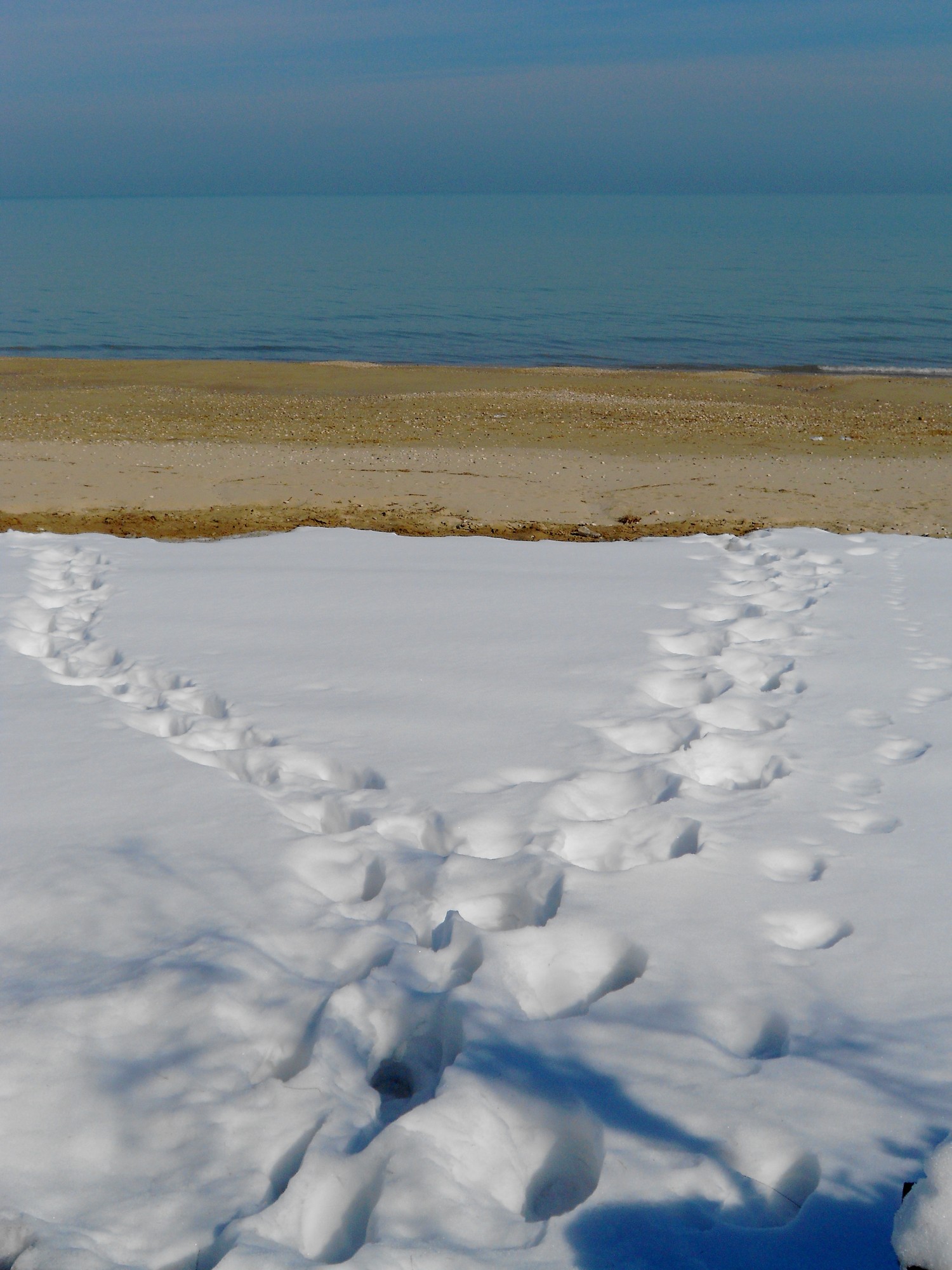 Passi nella neve di Mar955