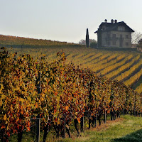 autunno nelle Langhe di 