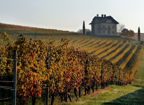 autunno nelle Langhe di smpaint