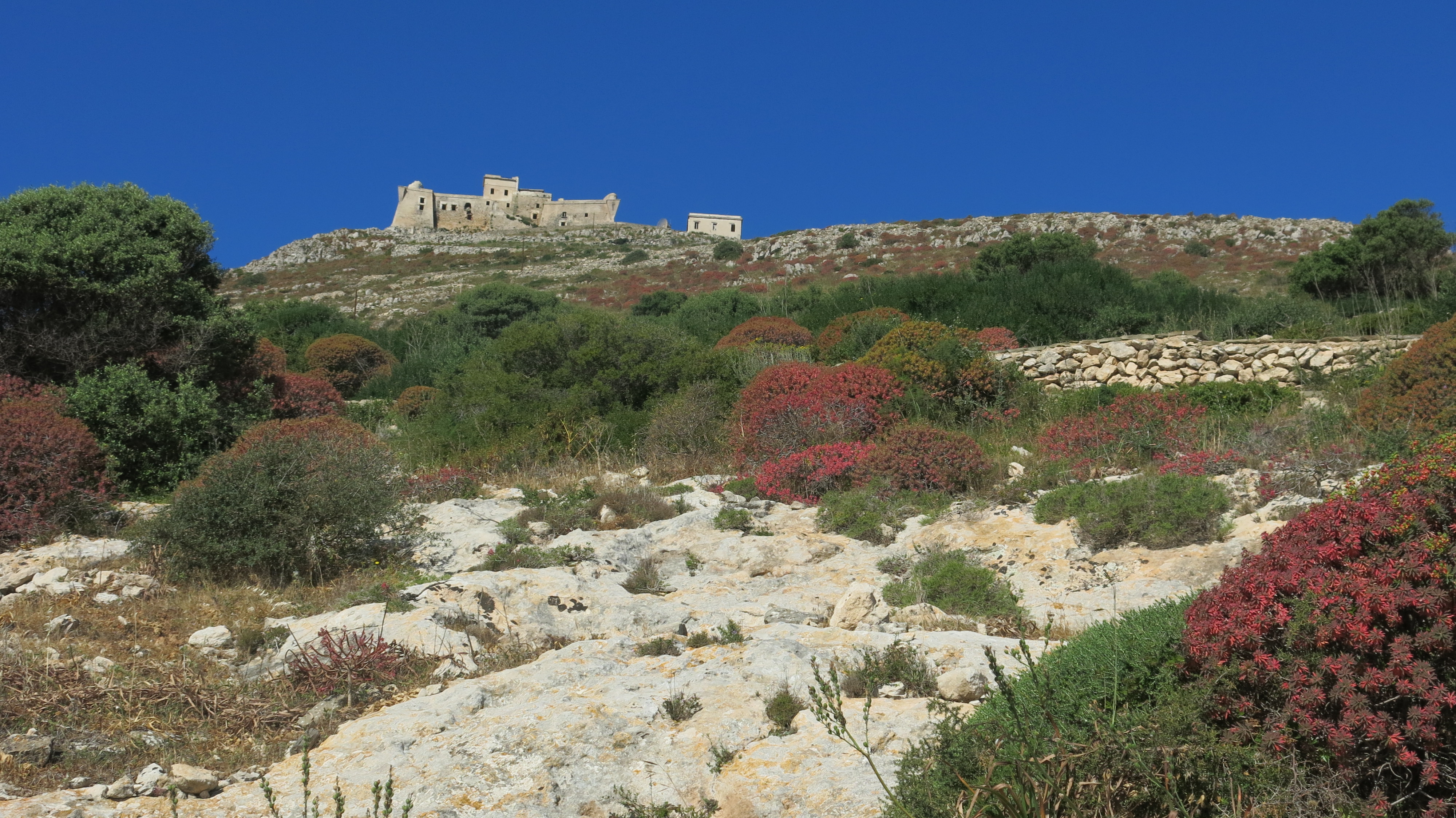 Terra siciliana di BlueBetty