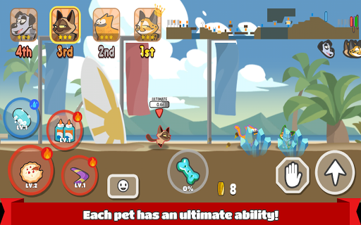 Pets Race - Fun Multiplayer Racing with Friends