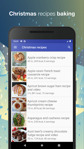 Christmas recipes app offline with photo free