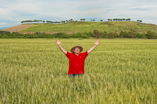 Dalla città al grano di si