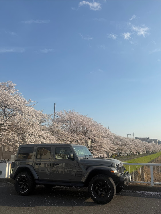 ラングラーアンリミテッドのサクラと愛車・春ですね🌸・シンプルイズベスト・キャンプ行きたいに関するカスタム事例の投稿画像2枚目