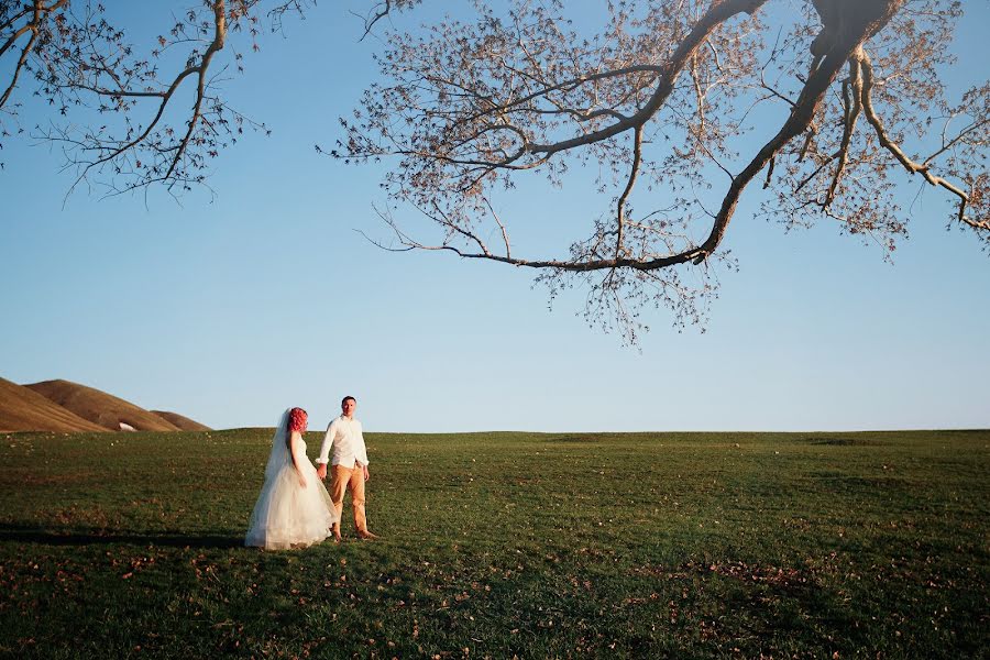 Fotografo di matrimoni Vladimir Kochkin (vkochkin). Foto del 27 luglio 2017