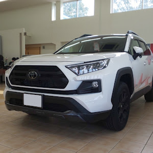 RAV4 MXAA54