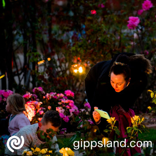 Visitors enjoy the AGL Night Light Displays at the 2021 International Rose Garden Morwell