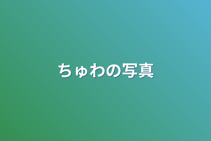 「ちゅわの写真」のメインビジュアル