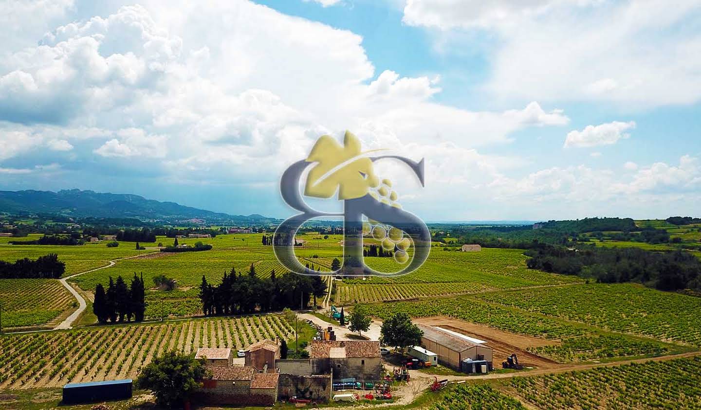 Vignoble avec piscine Vaison-la-Romaine