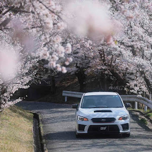 WRX STI