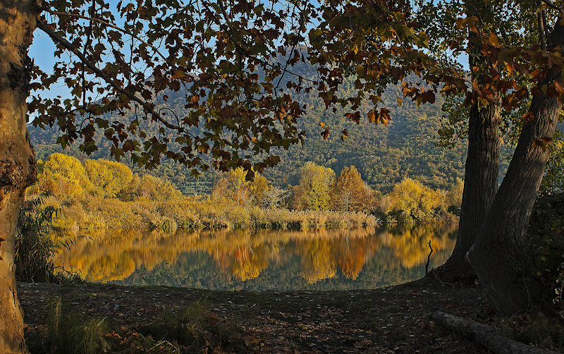 Foliage di mariarosa-bc