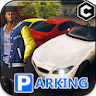 Real Car Parking - Open World icon