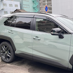 RAV4 MXAA54