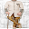 Sherwani designs Download on Windows