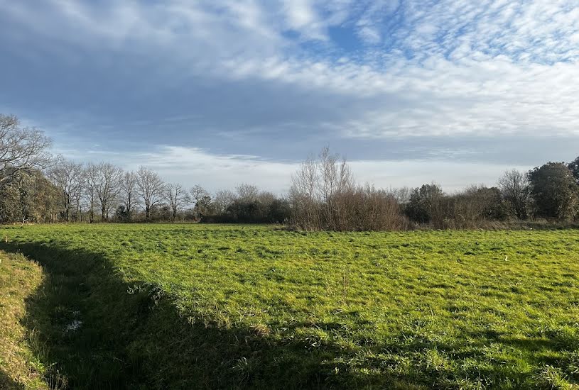  Vente Terrain + Maison - Terrain : 350m² - Maison : 94m² à Saint-Père-en-Retz (44320) 