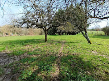 terrain à Esternay (51)